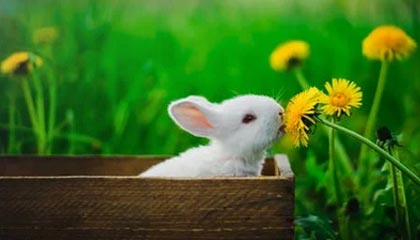 开云体育中国官网-英格兰守门员扑点建奇功，英格兰守门员2021