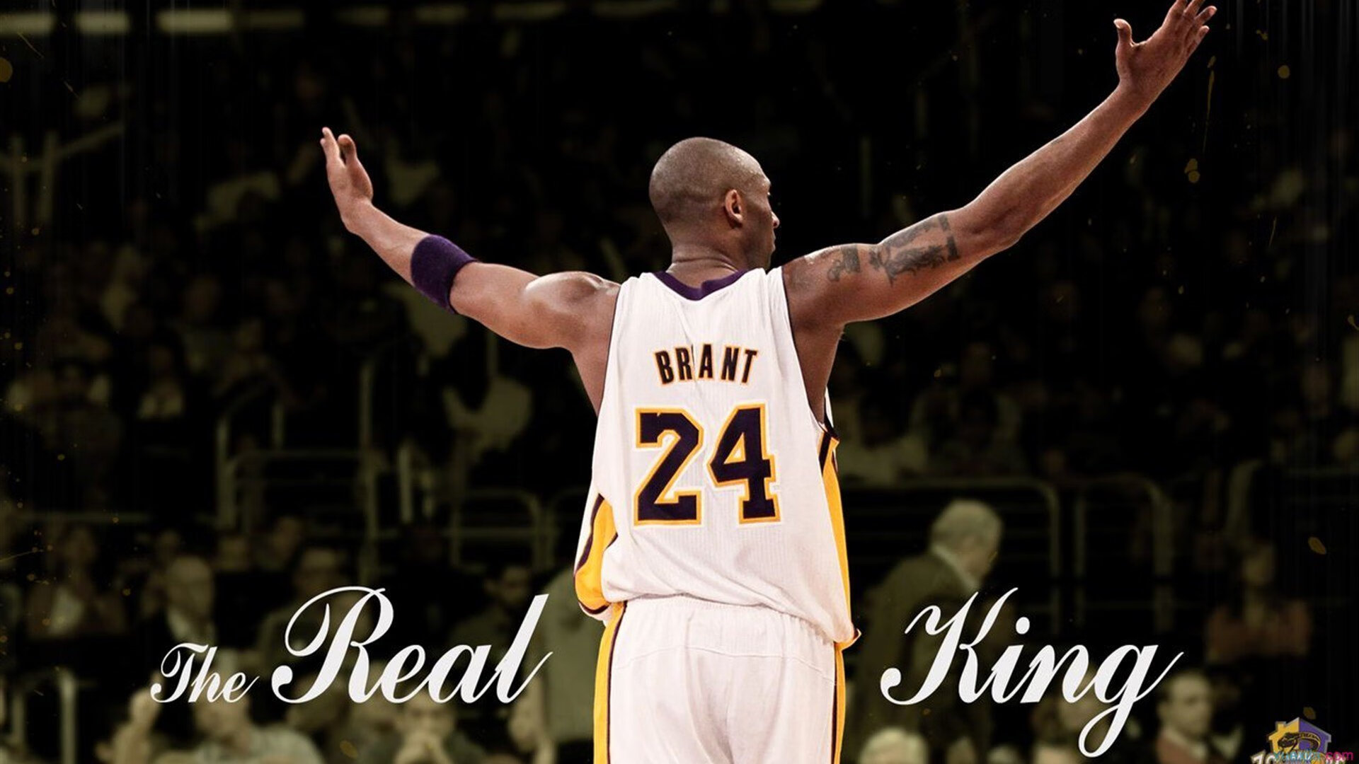 “掘金挡拆战术全揭秘：如何打出高效得分”，掘金防守