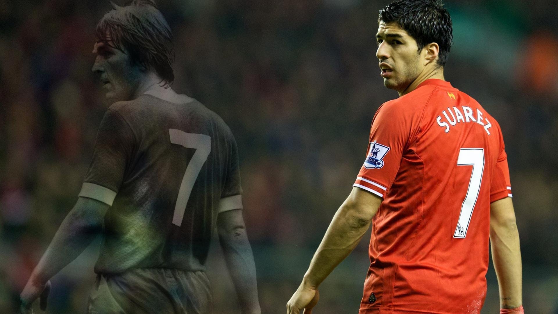 冬季越野滑雪，雪白世界的速度冒险，越野滑雪视频